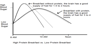 Protein article for website